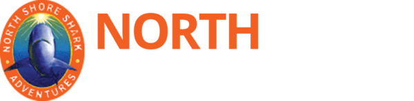 North Shore Shark Adventures